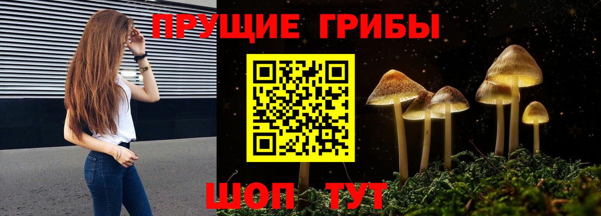 Галлюциногенные грибы Psilocybine cubensis Курск